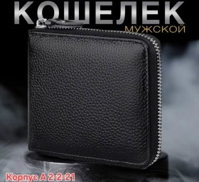 Одежда