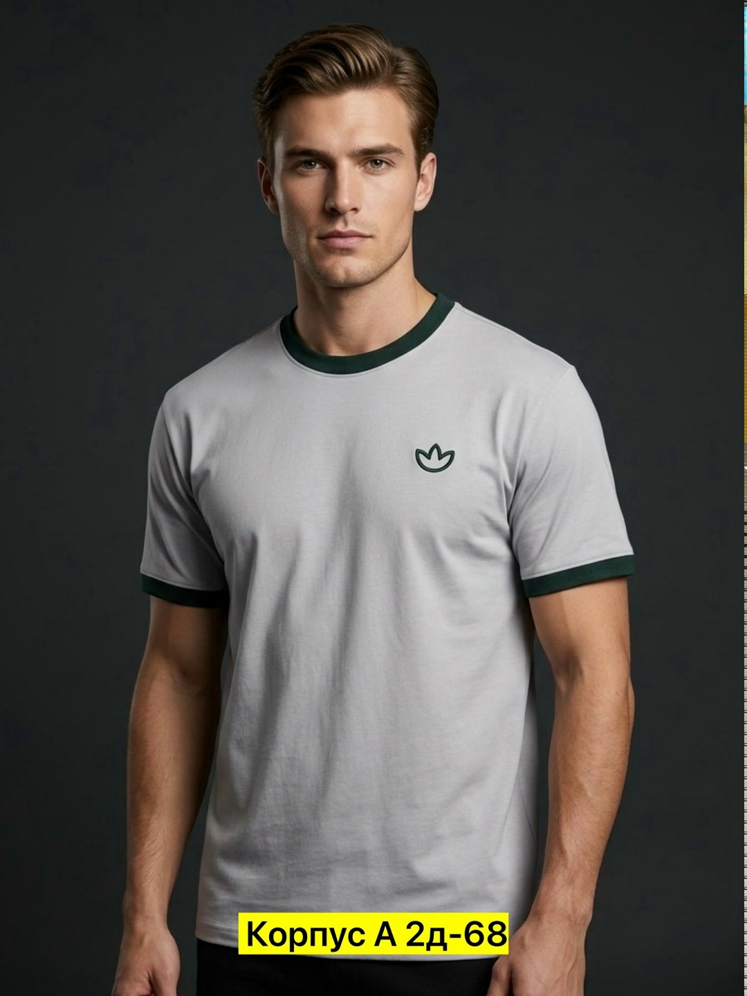 футболки мужские,футболки женские мужские,футболки для мужчин,футболки базовая,мужская мода