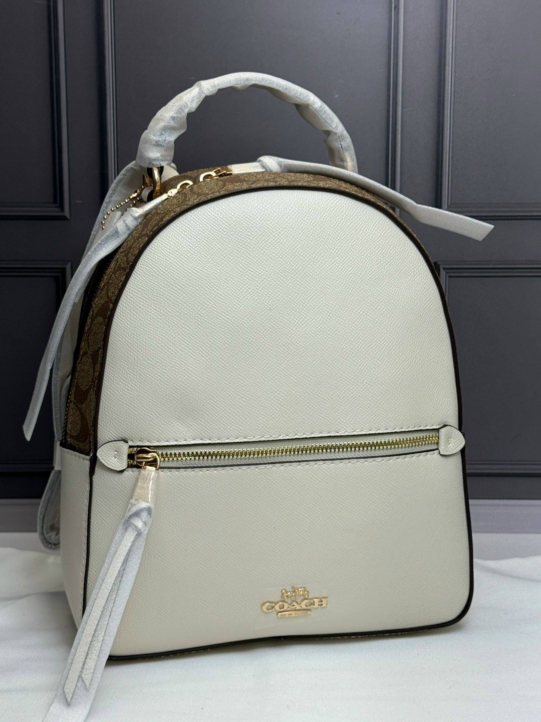 рюкзак женские,рюкзак женский coach,брендовые рюкзаки,рюкзак coach,рюкзак