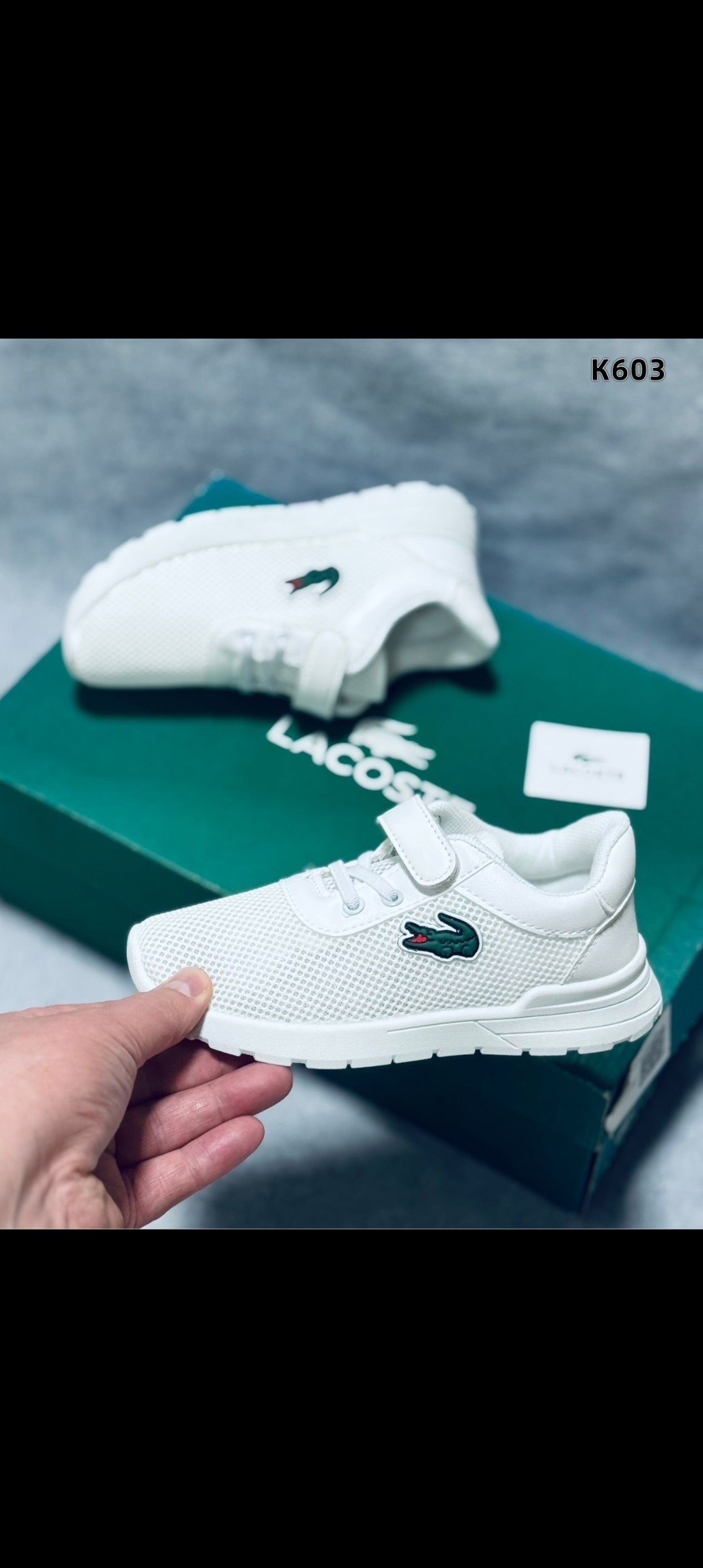 кроссовки lacoste, лакоста,lacoste ,кроссовки lacoste l,lacoste l003 кроссовки