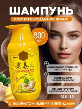 Одежда