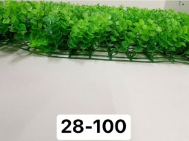 Одежда