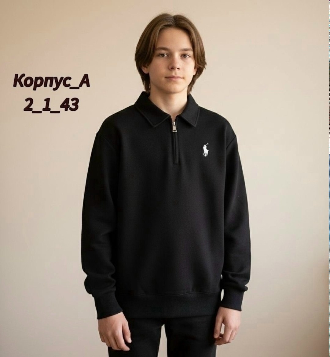 джемпер мужской,поло кофта,толстовка мужская,polo ralph lauren свитшот полузамок