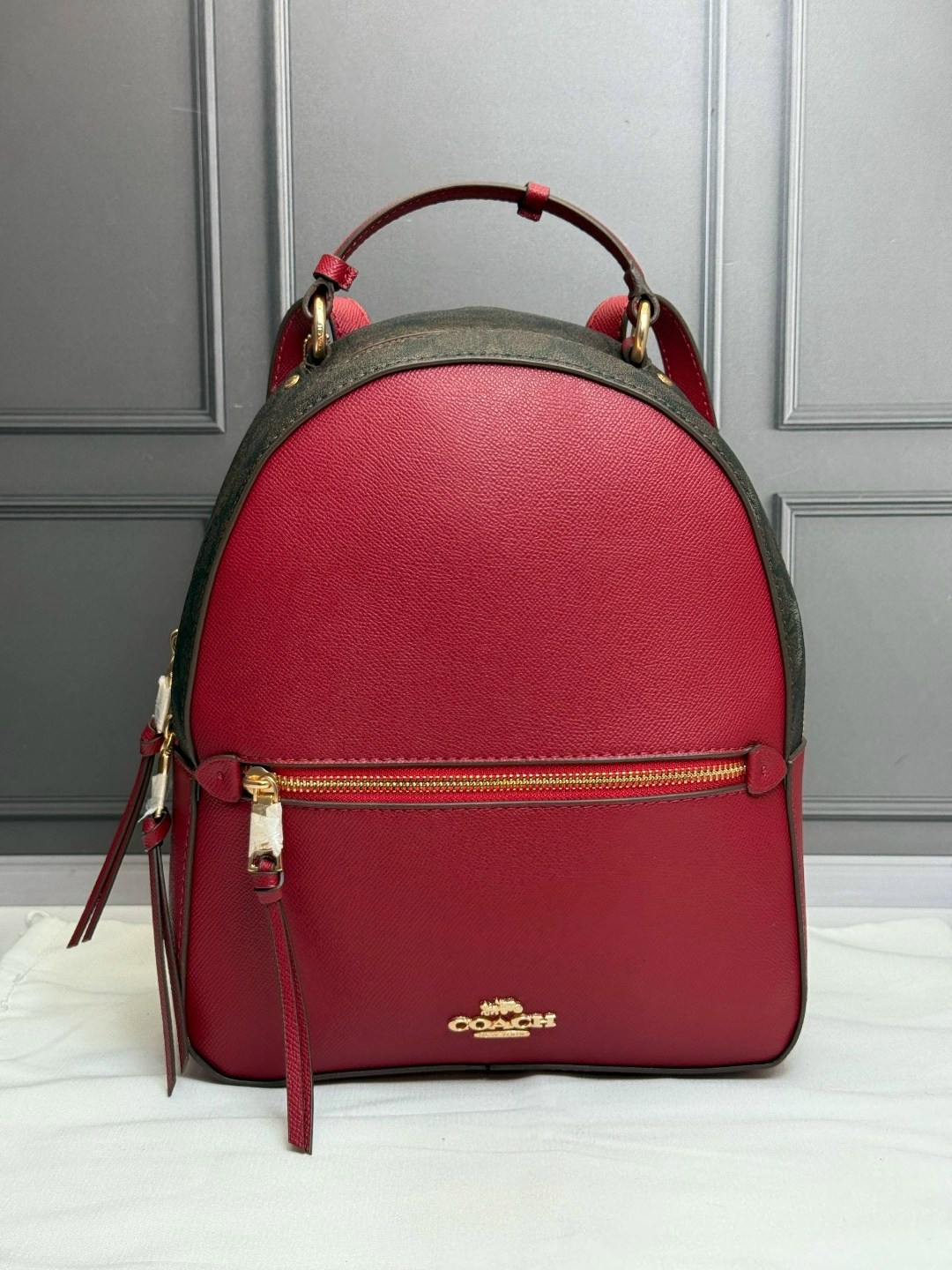 рюкзак женские,рюкзак женский coach,брендовые рюкзаки,рюкзак coach,рюкзак