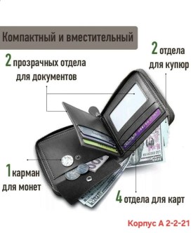 Одежда