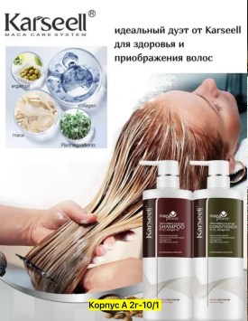 Одежда