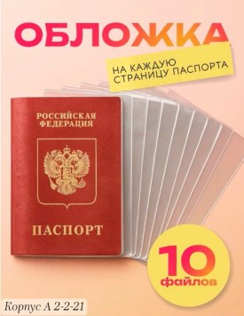 Одежда
