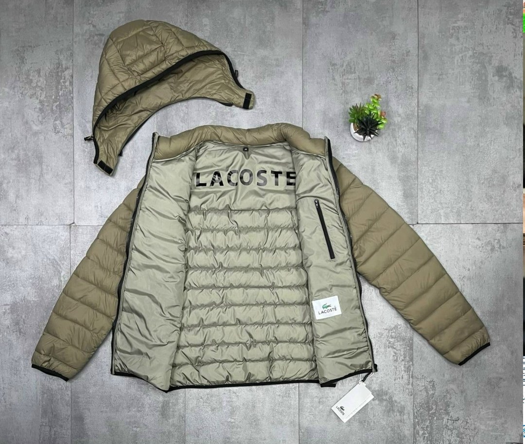 куртка lacoste,куртка зимняя lacoste,пуховик lacoste,пуховик мужской lacoste,мужской пуховик lacoste quilted hooded