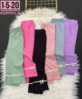 Бриджи