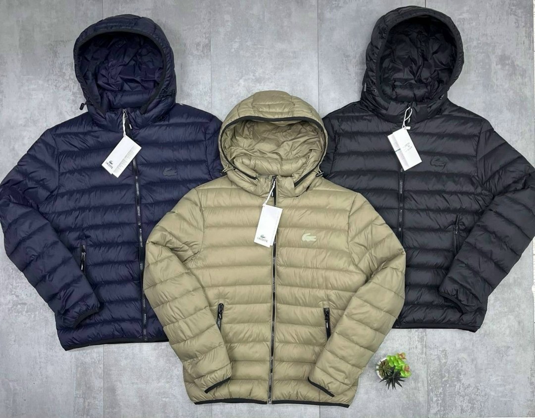 куртка lacoste,куртка зимняя lacoste,пуховик lacoste,пуховик мужской lacoste,мужской пуховик lacoste quilted hooded