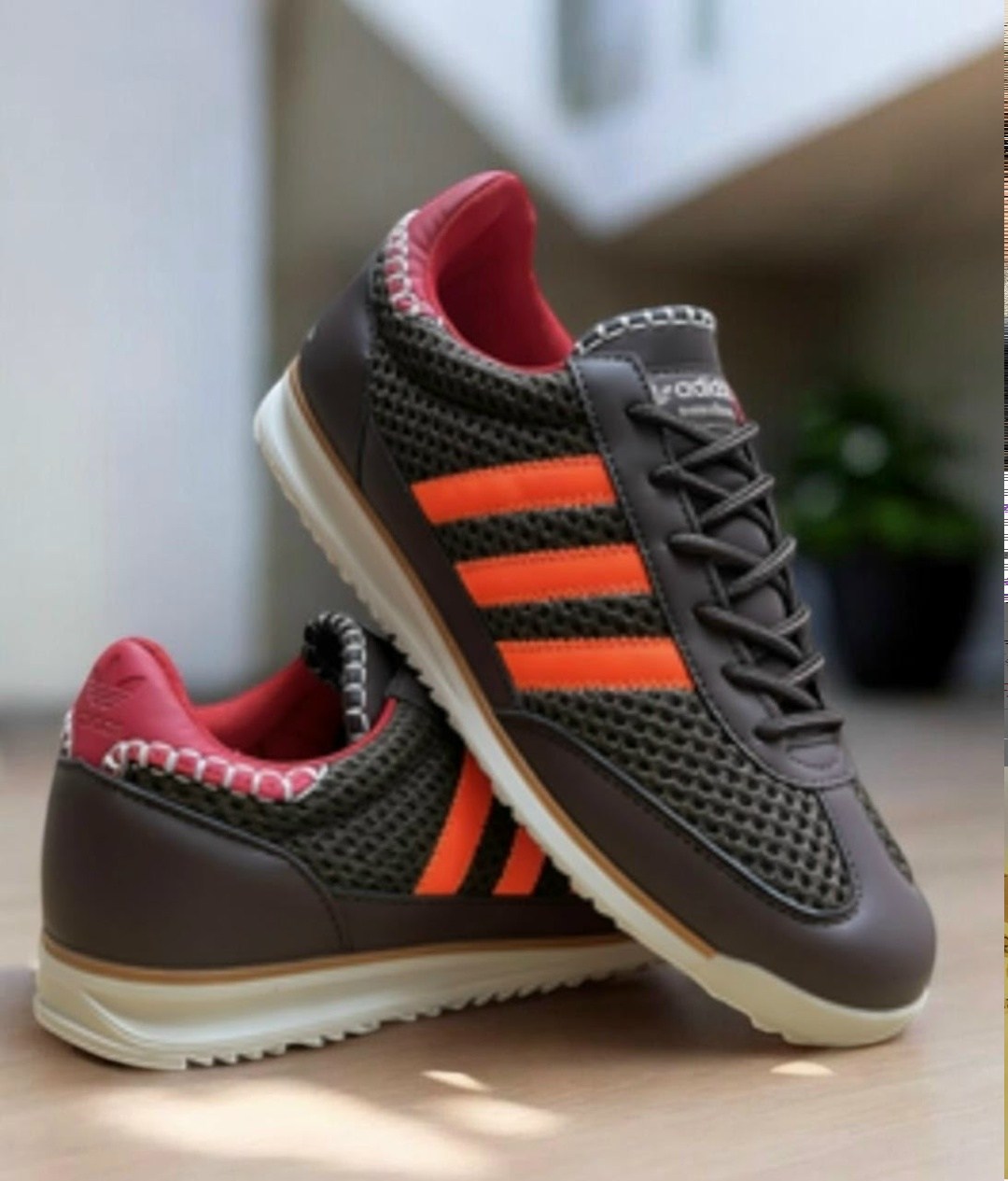 кроссовки adidas,кроссовки,adidas sl 72,брендовые кроссовки,женские кроссовки