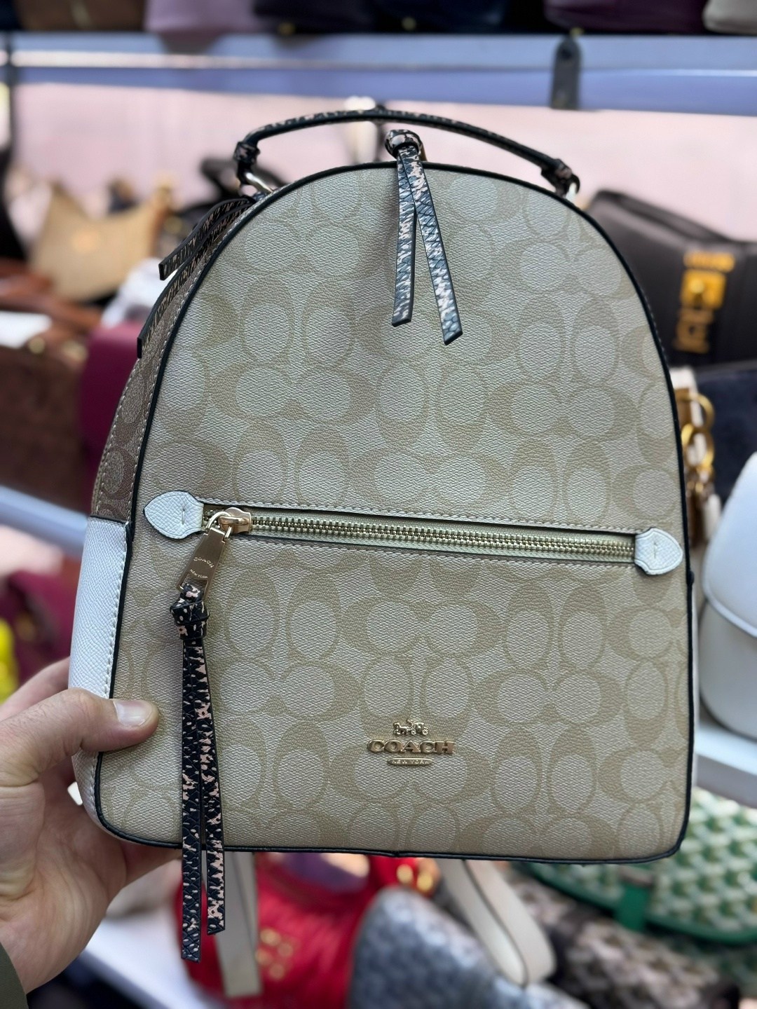 рюкзак женские,рюкзак coach,брендовые рюкзаки,рюкзак женский coach,рюкзак белый