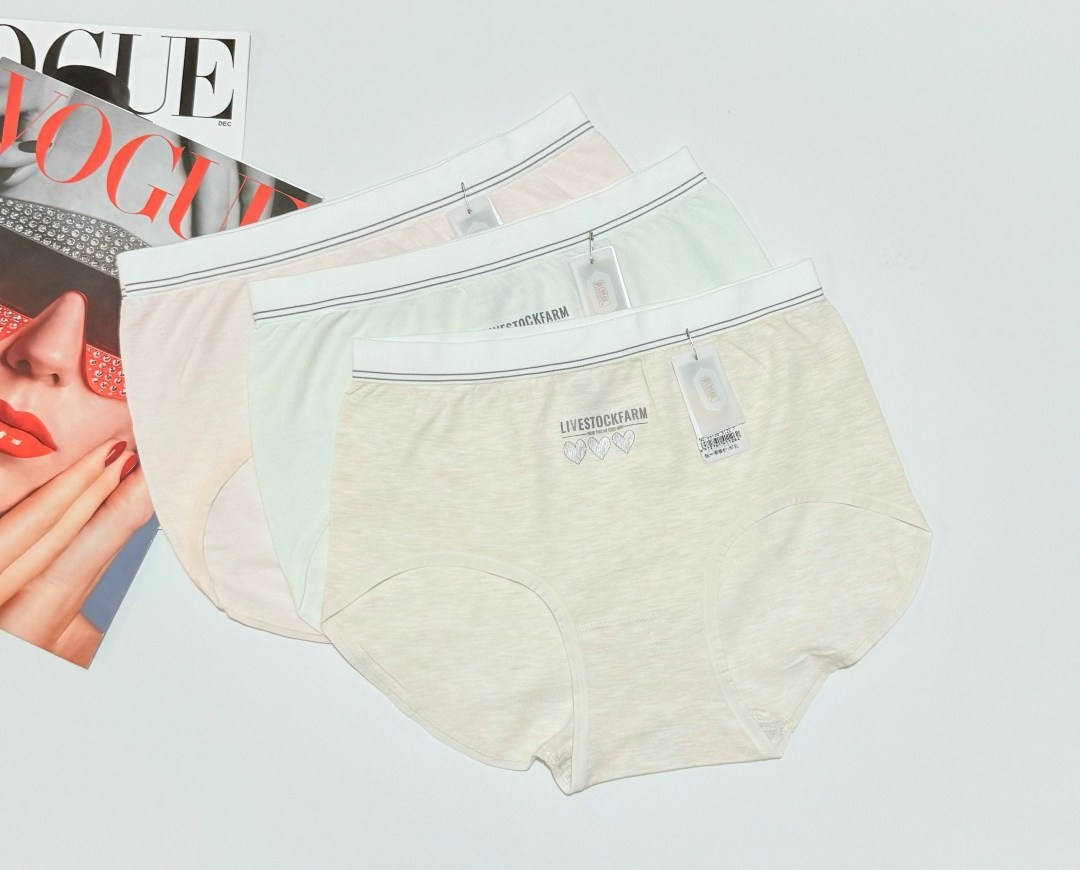 хлопковые трусы,женские хлопковые трусы,женская нижнее белье,женские хлопковые трусики,хлопковые трусы на девушках