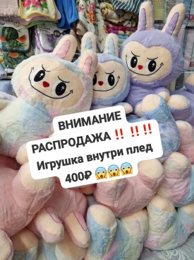 Одежда