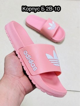 Сланцы