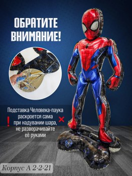 Одежда