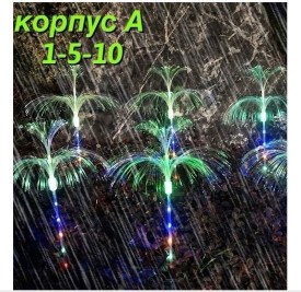 Одежда