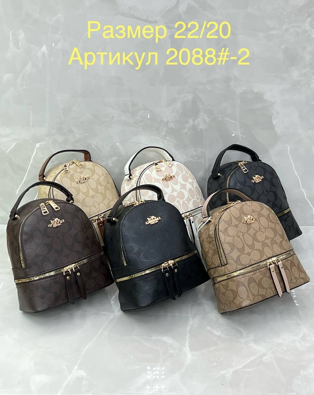 рюкзаки,женские рюкзаки,рюкзак coach,рюкзак модный,рюкзак стиль