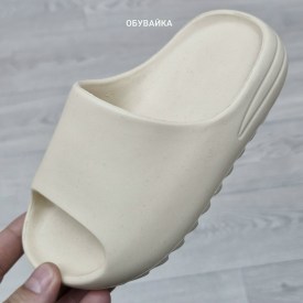 Сланцы