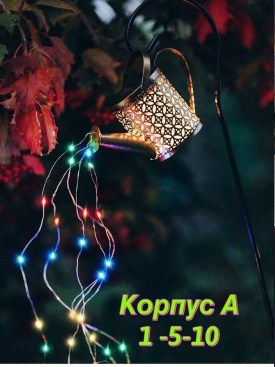 Одежда