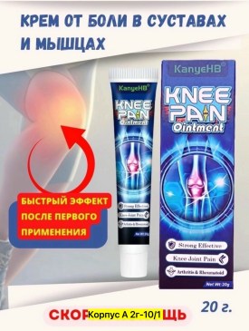 Одежда