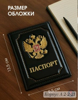 Одежда
