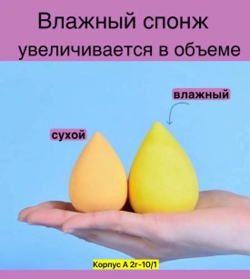Одежда
