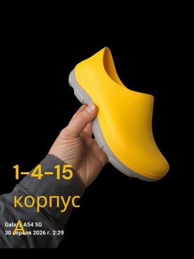 Одежда