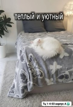 Одежда