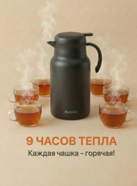 Одежда