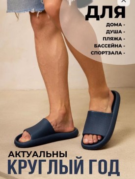 Сланцы