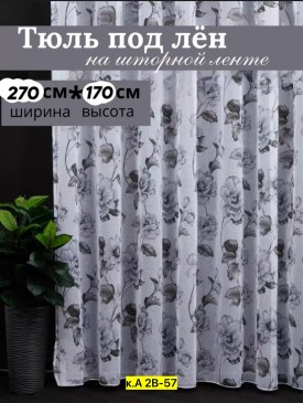 Одежда