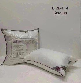 Одежда