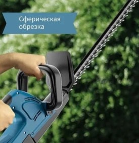 Одежда