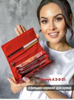 Одежда