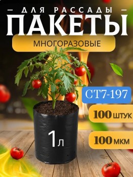 Новый год