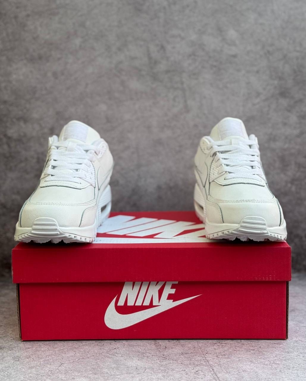 кроссовки nike air max 90 белые,nike air max 90 white,кроссовки nike air max 90,кроссовки мужские nike air max 90,кроссовки nike air max