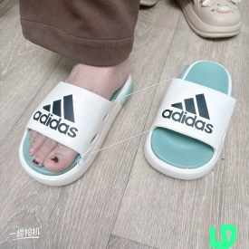 Сланцы