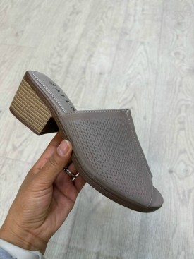 Сланцы
