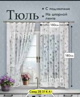 Одежда
