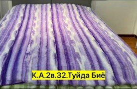 Одежда