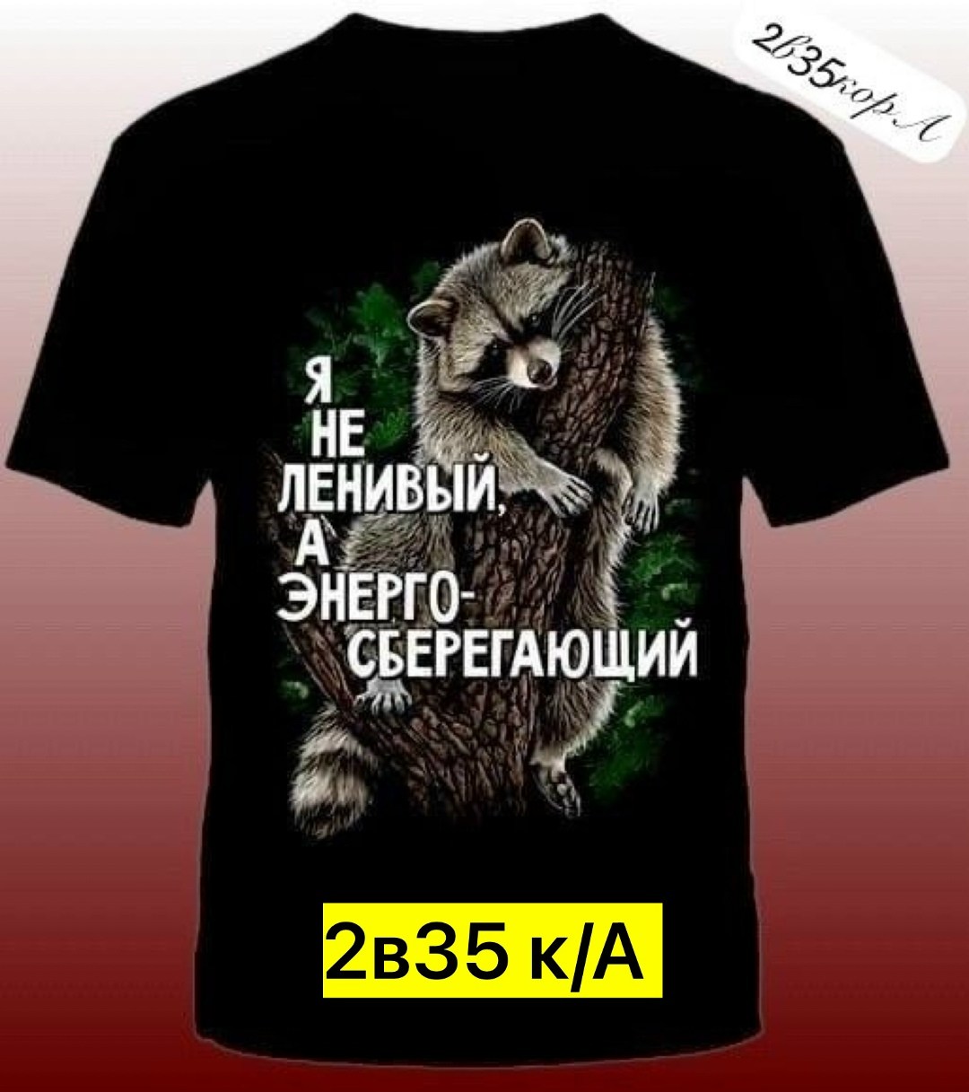 футболка с енотом,футболка мужская енот,футболки модные,футболки мужские,футболка с рисунком