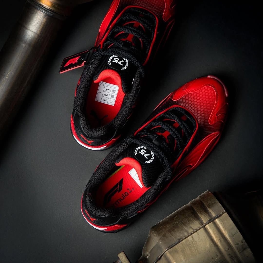 кроссовки пума феррари лоу,кроссовки puma,puma ducati,кроссовки puma ferrari,puma ferrari