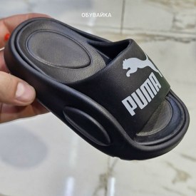 Сланцы