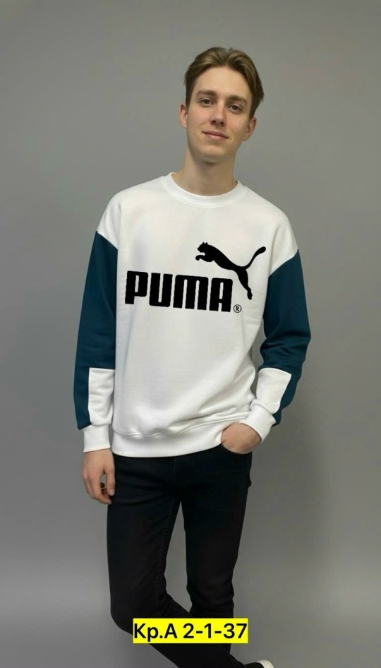 свитшот мужской puma,свитшот puma,толстовка мужская puma,свитшот puma puma,свитшот puma свитшот