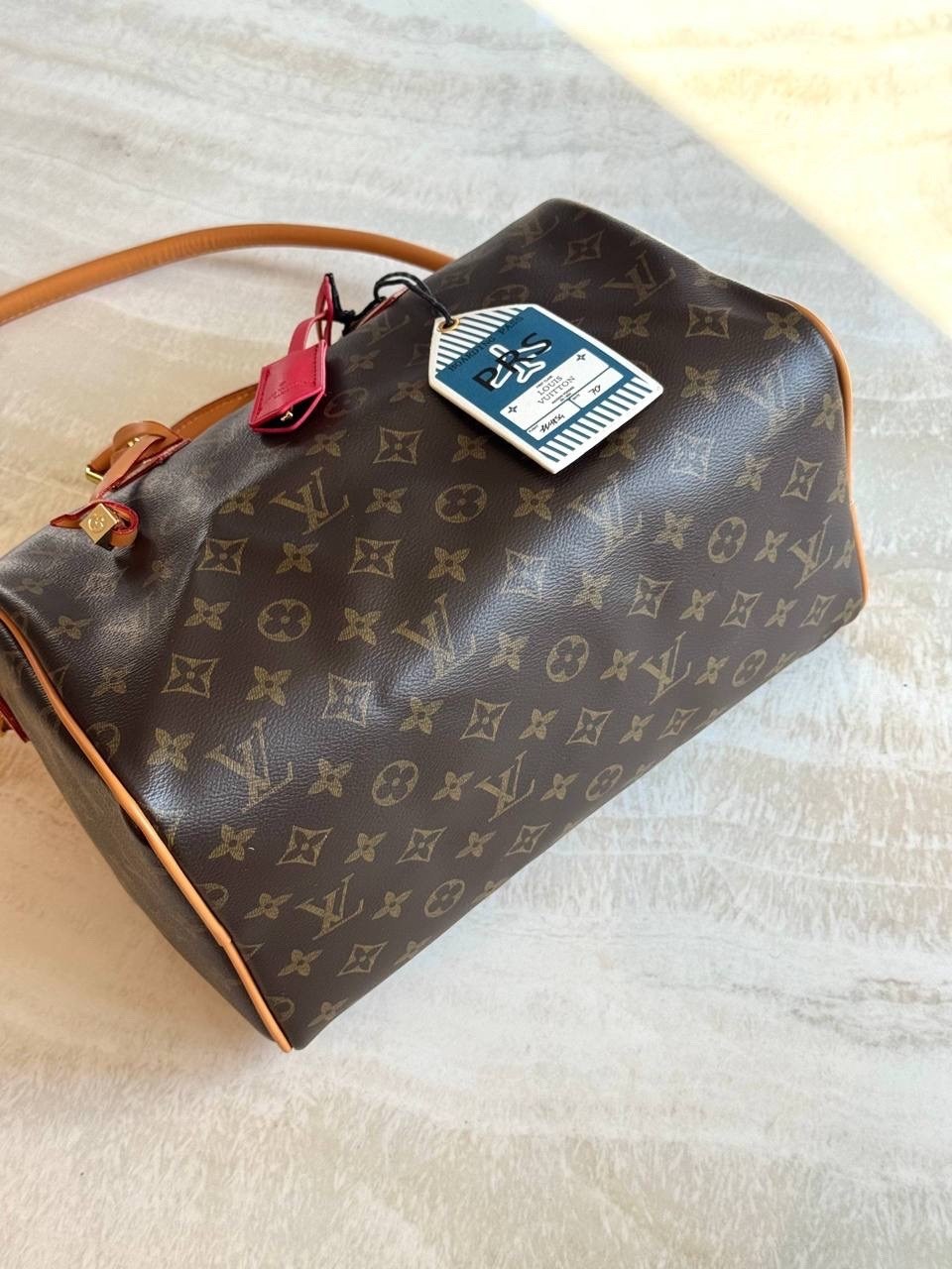 сумка женская louis vuitton,сумка louis vuitton,сумка-подушка lv speedy 30 см,классическая сумка speedy louis vuitton с монограммой,louis vuitton speedy
