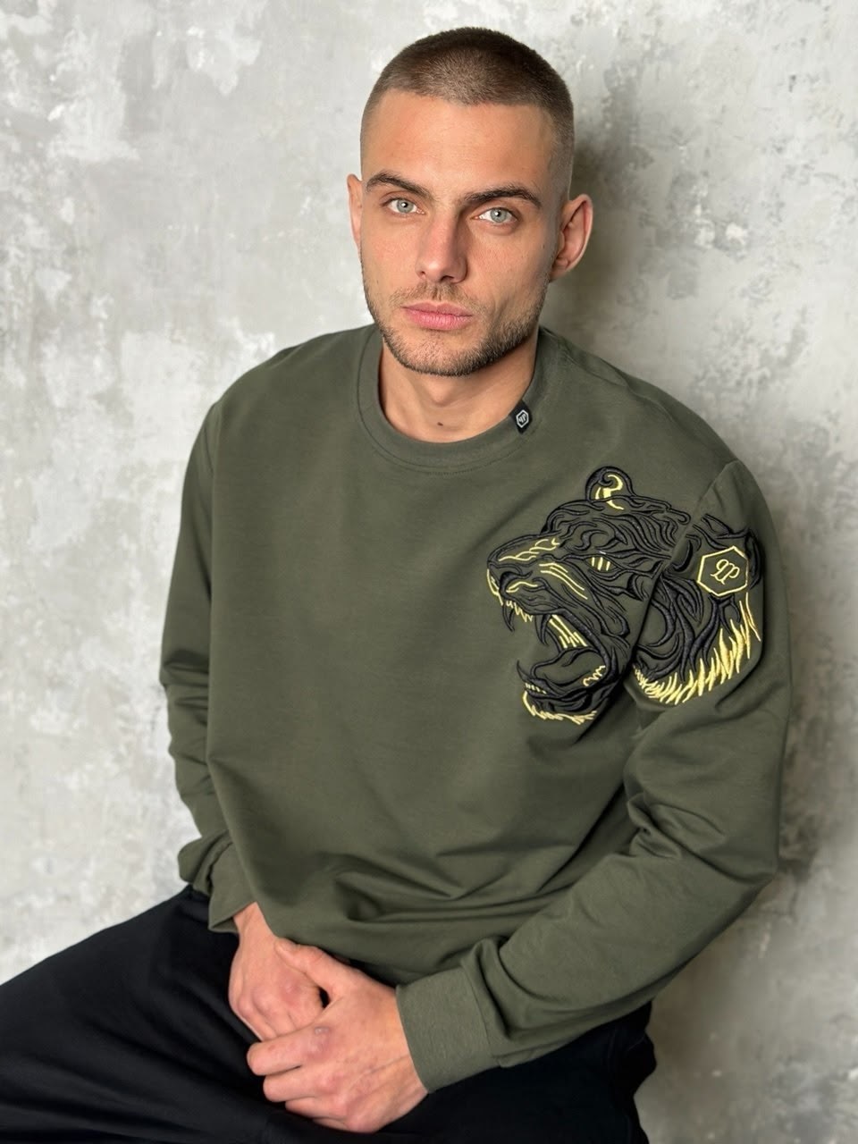 брендовые свитшоты,свитшот мужской philipp plein,мужские свитшоты,оригинальный свитшот,свитшот кофта