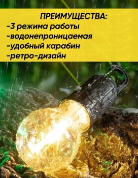 Одежда
