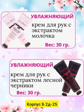 Одежда