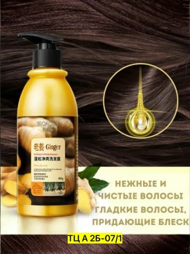 Одежда